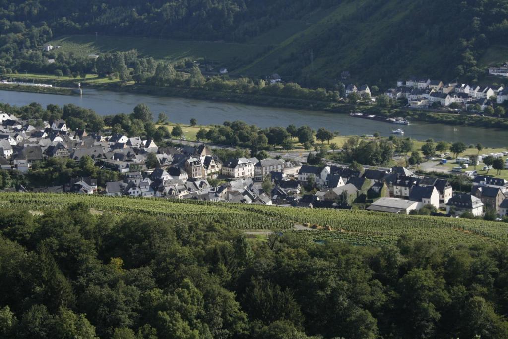 Mosel Weinhotel Steffensberg Enkirch Exterior foto